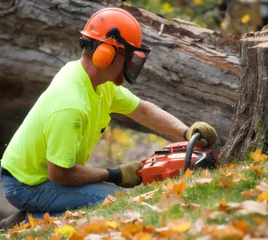 tree services Woodland